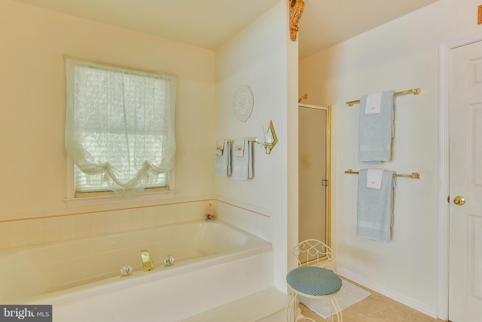 2803 Lookout Road Haymarket, VA 20169 - Photo 18 of 28 Master Bathroom