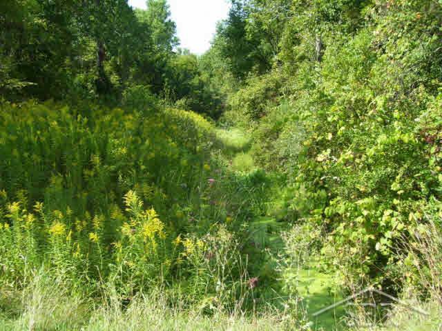 12000 Ward Road Chesaning, MI 48616 - Photo 3 of 12 20077402-2.JPG