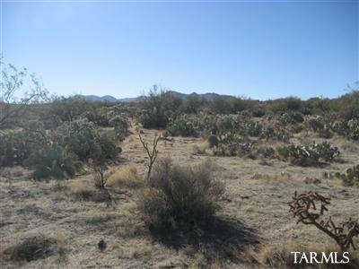 13771 West Hunt Road Tucson, AZ 85736 - Photo 6 of 11
