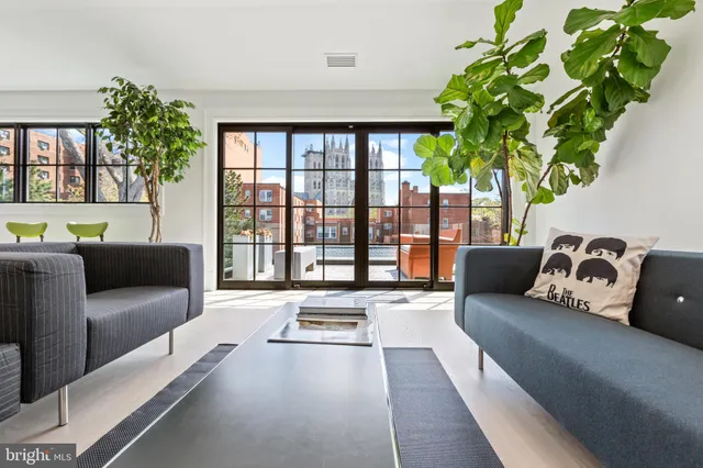 a living room with furniture and a potted plant