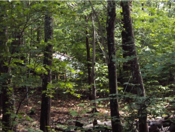 0 Fisherfield Road Newbury, NH 03255 - Photo 1 of 1
