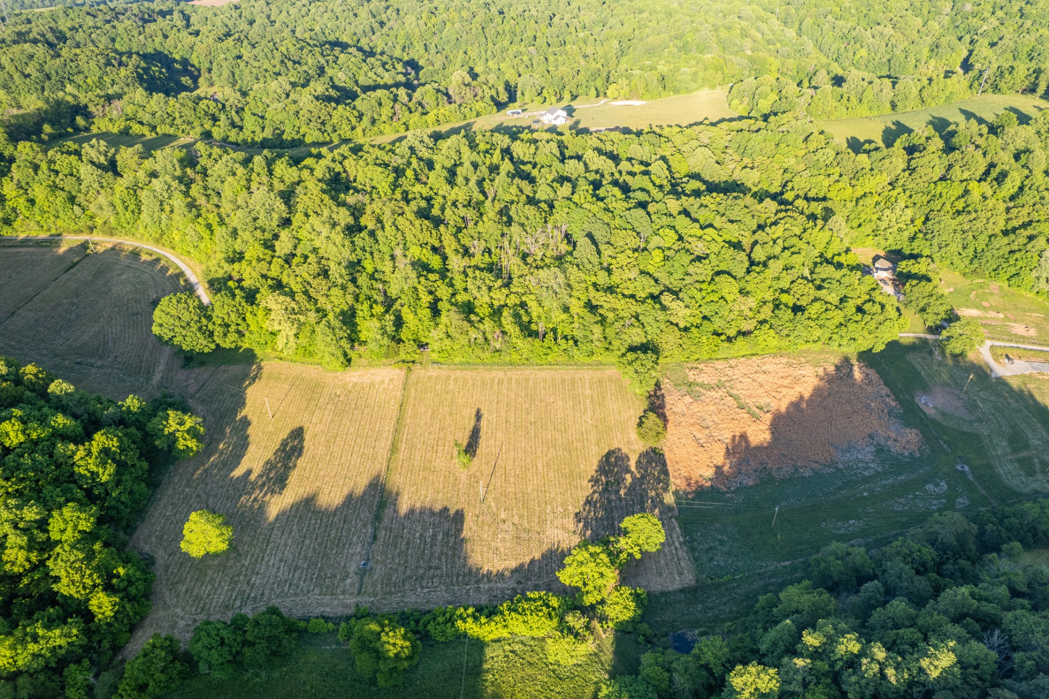 5 Young Road Pulaski, TN 38478 - Photo 6 of 12 a view of lake