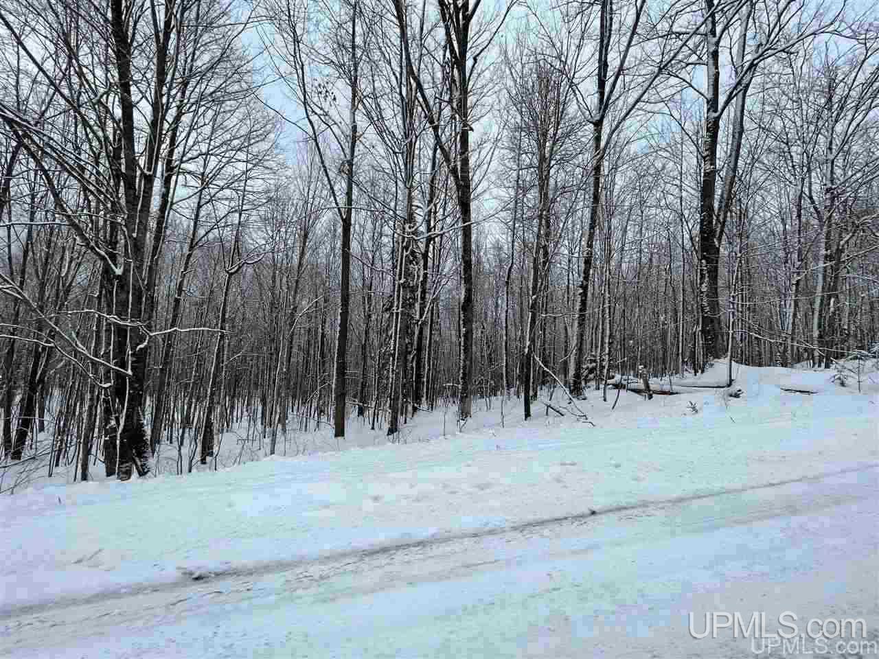 Tbd South Brule Road Iron River, MI 49935 - Photo 2 of 2 Gallery Image 2