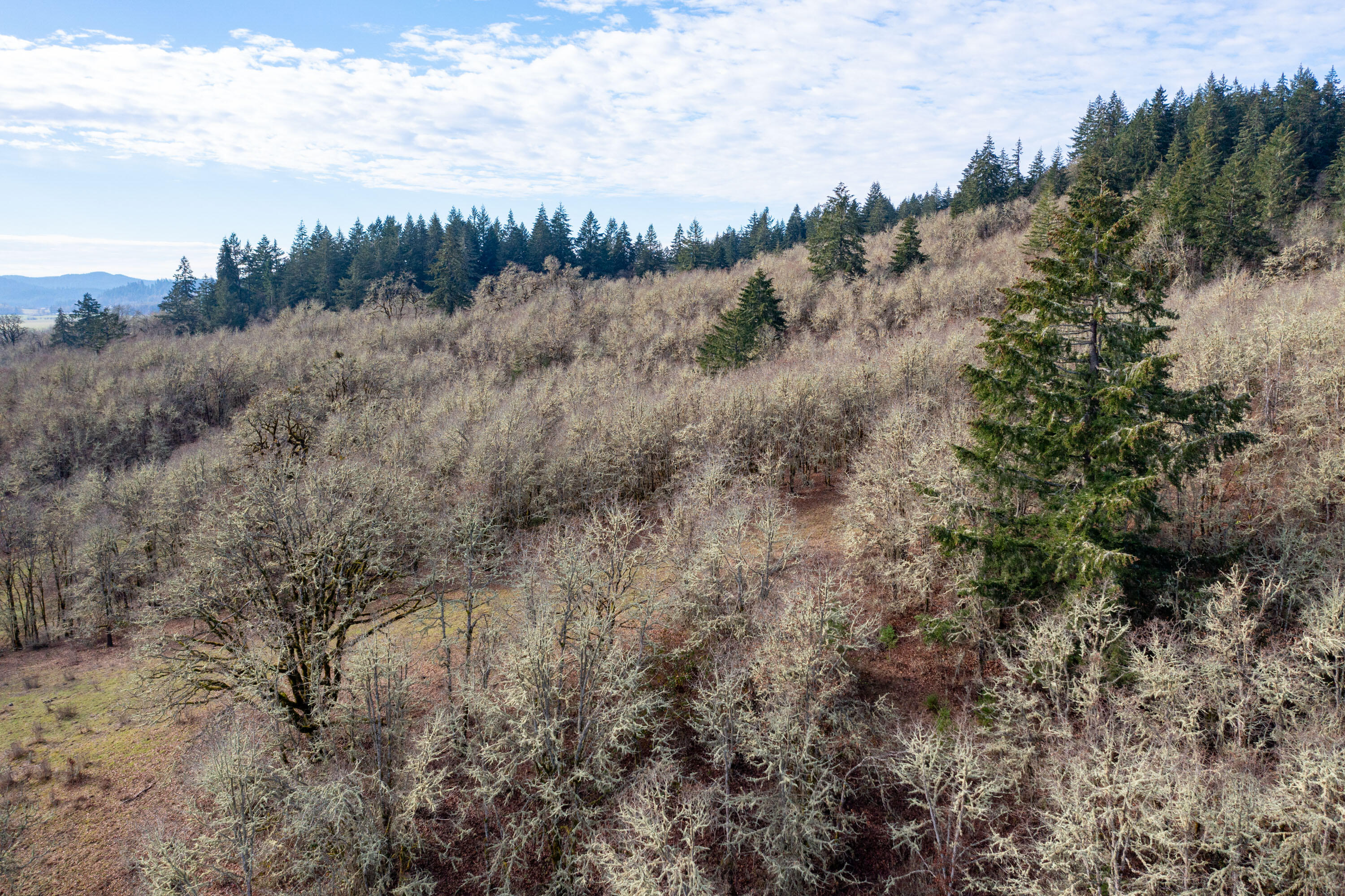 Airlie Road Monmouth, OR 97361 - Photo 31 of 34 Gallery Image 31