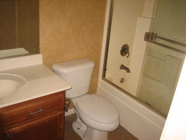 3201 West Pecan Road Phoenix, AZ 85041 - Photo 16 of 31 Master Bath