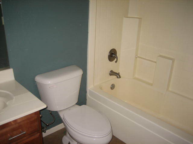3201 West Pecan Road Phoenix, AZ 85041 - Photo 18 of 31 Bath