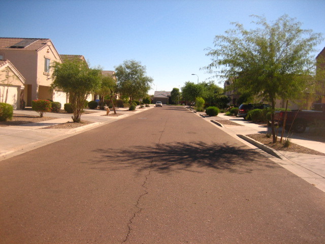 3201 West Pecan Road Phoenix, AZ 85041 - Photo 30 of 31 Street Scene East