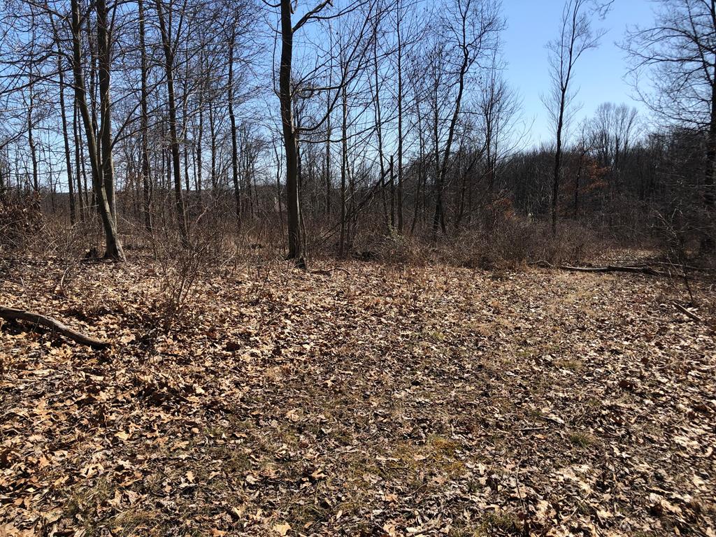 Lot 1 Metz Road Parker, PA 16049 - Photo 4 of 10