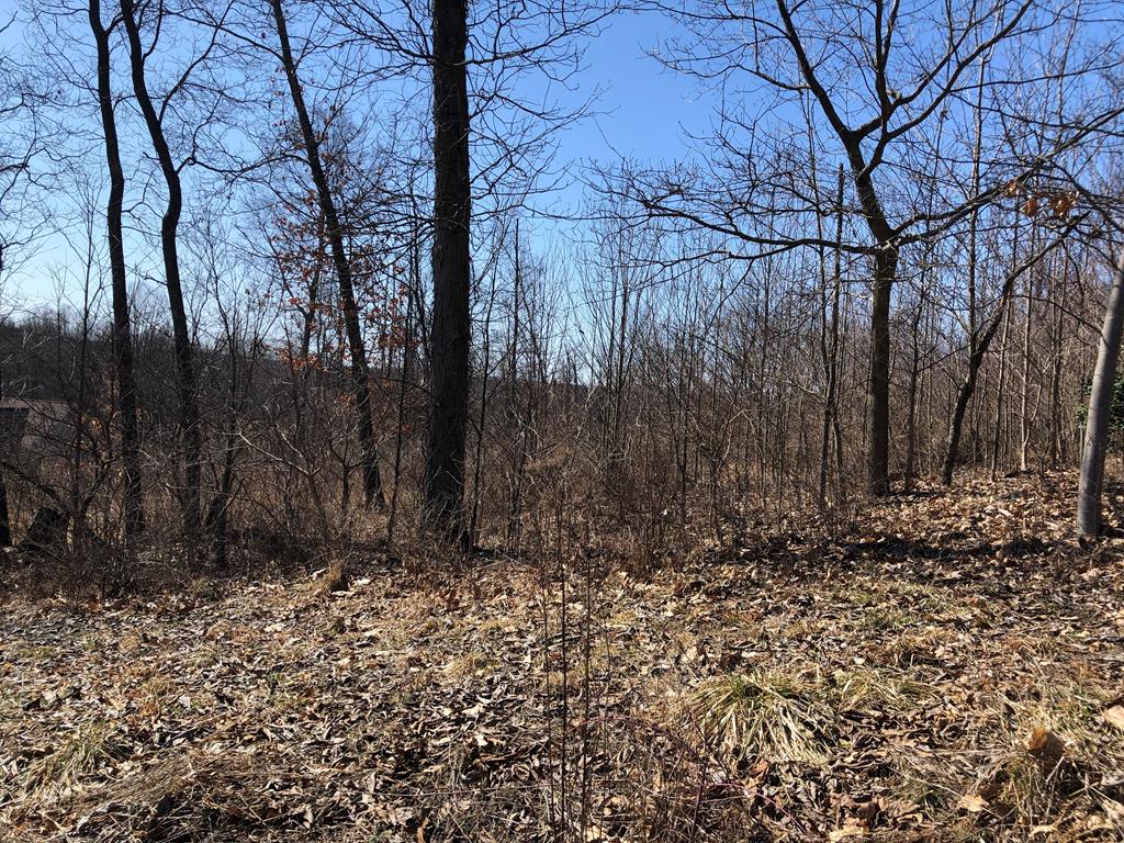 Lot 1 Metz Road Parker, PA 16049 - Photo 6 of 10
