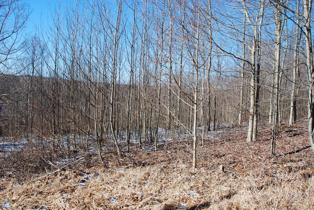 Lot 1 Metz Road Parker, PA 16049 - Photo 7 of 10