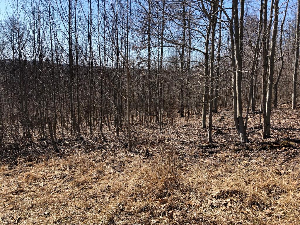 Lot 1 Metz Road Parker, PA 16049 - Photo 8 of 10