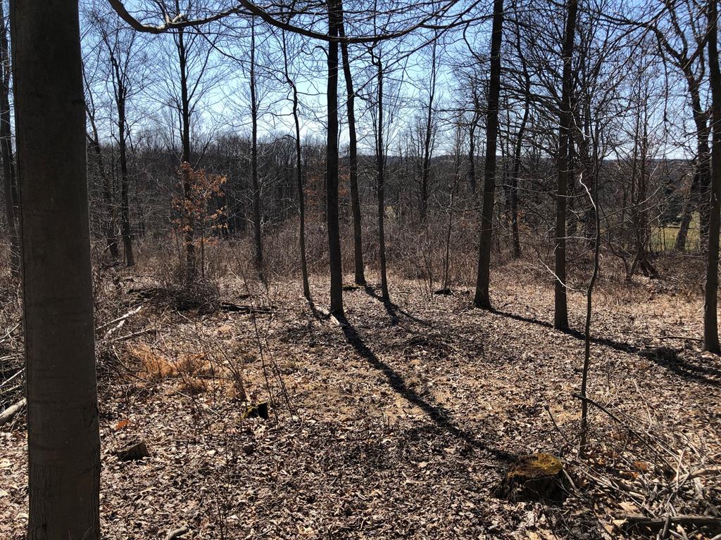 Lot 1 Metz Road Parker, PA 16049 - Photo 9 of 10