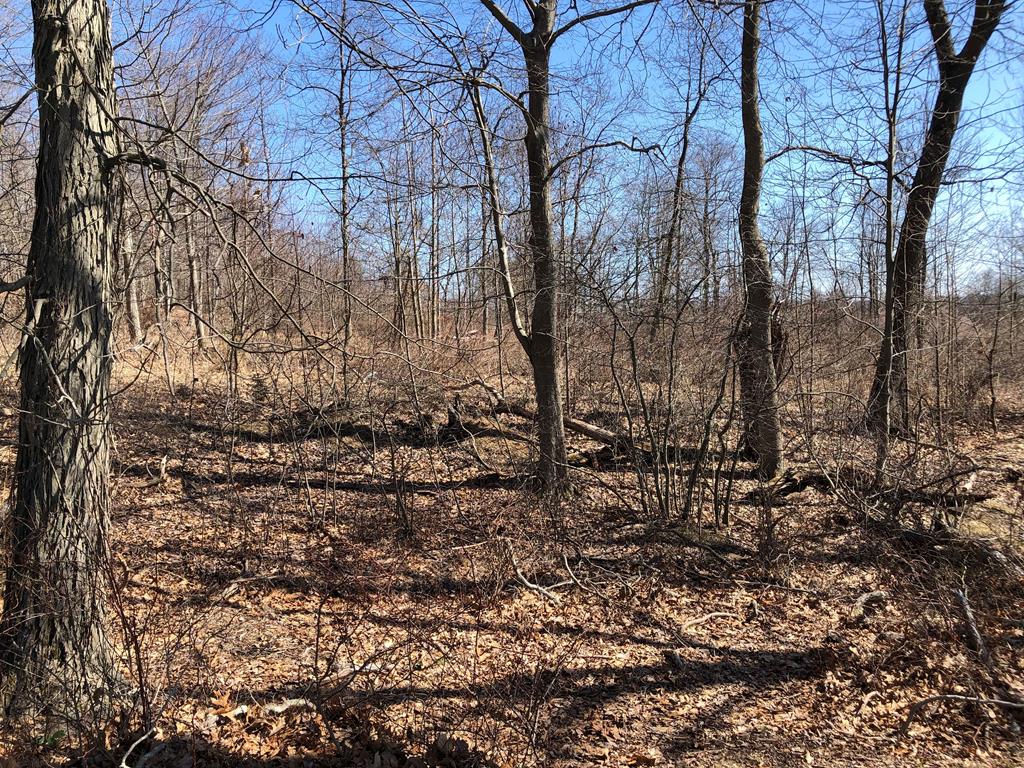 Lot 1 Metz Road Parker, PA 16049 - Photo 10 of 10