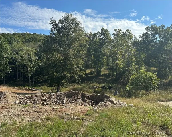 $22,900 | Lot 21 Mayerling Drive, Gravois Mills, MO 65037