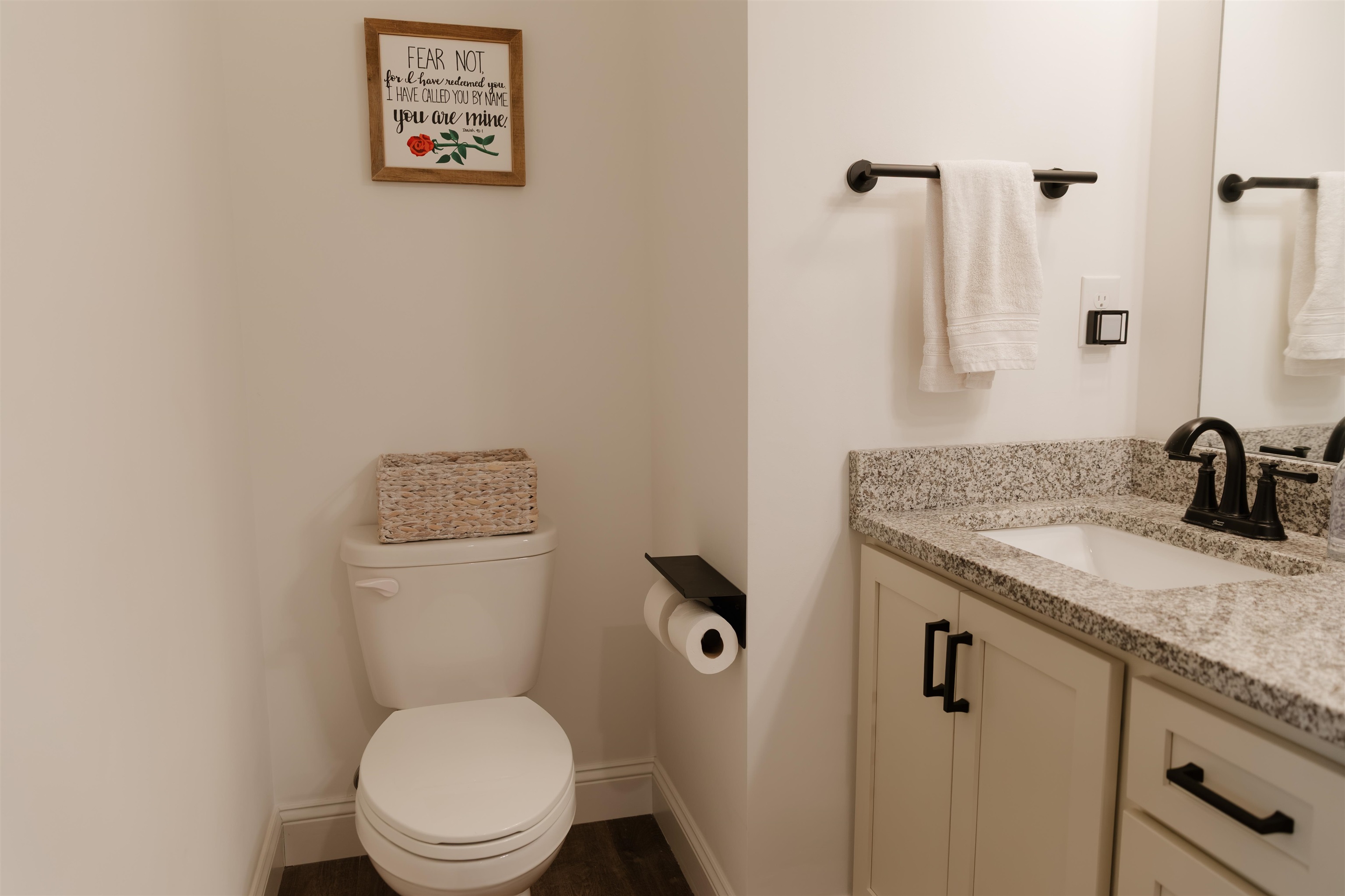 653 North Shamrock Avenue Landrum, SC 29356 - Photo 19 of 36