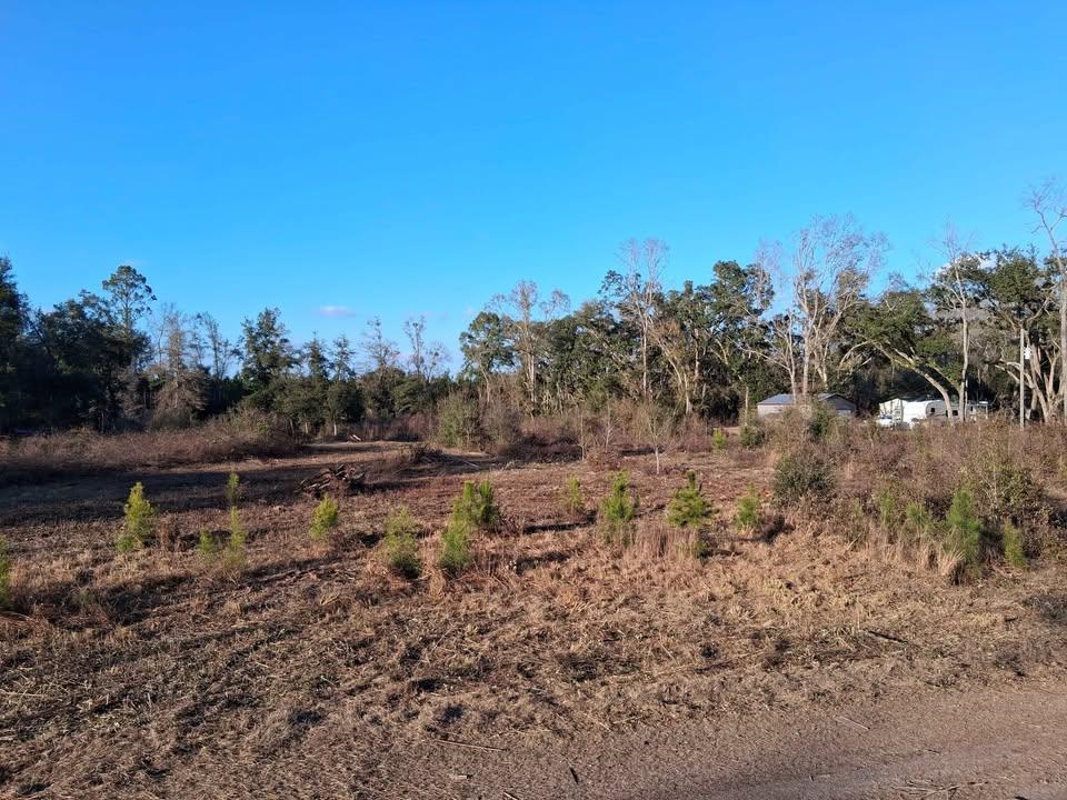 1 West Mdw Road Monticello, FL 32344 - Photo 2 of 11