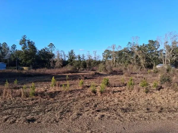 $45,000 | 1 West Mdw Road, Monticello, FL 32344