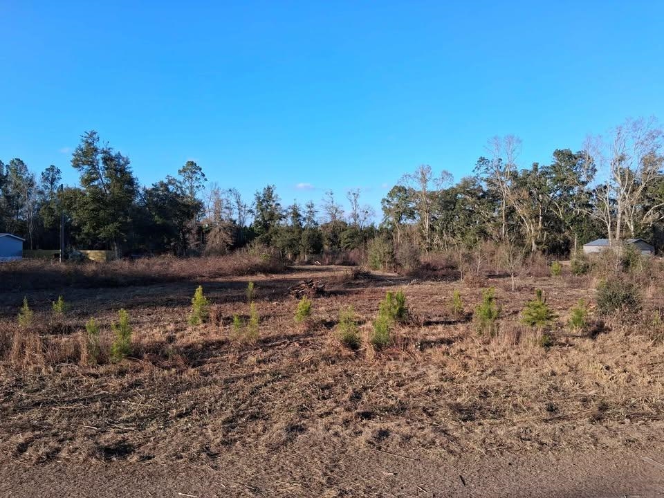 1 West Mdw Road Monticello, FL 32344 - Photo 5 of 11