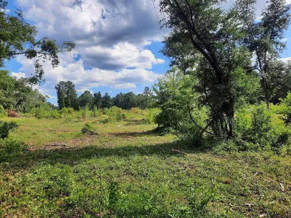 $45,000 | 1 West Mdw Road, Monticello, FL 32344
