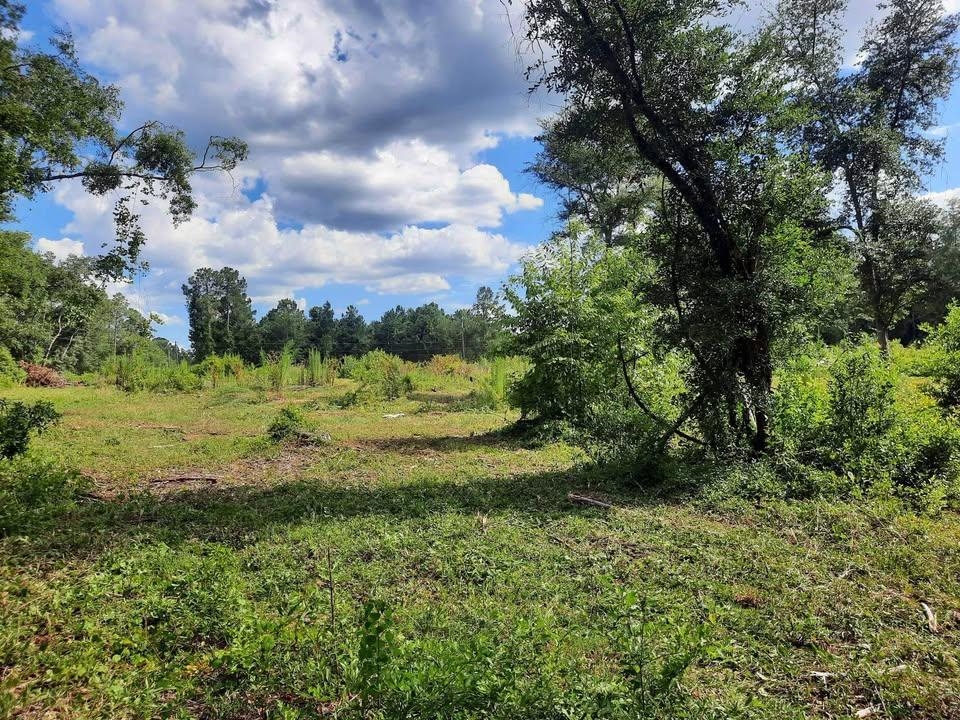 1 West Mdw Road Monticello, FL 32344 - Photo 6 of 11