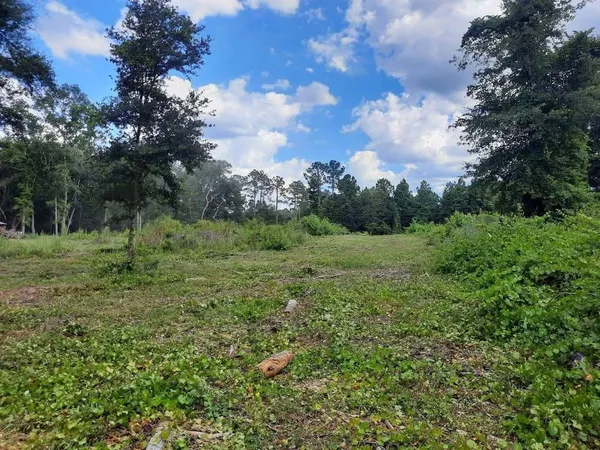 $45,000 | 1 West Mdw Road, Monticello, FL 32344