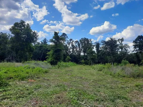 $45,000 | 1 West Mdw Road, Monticello, FL 32344