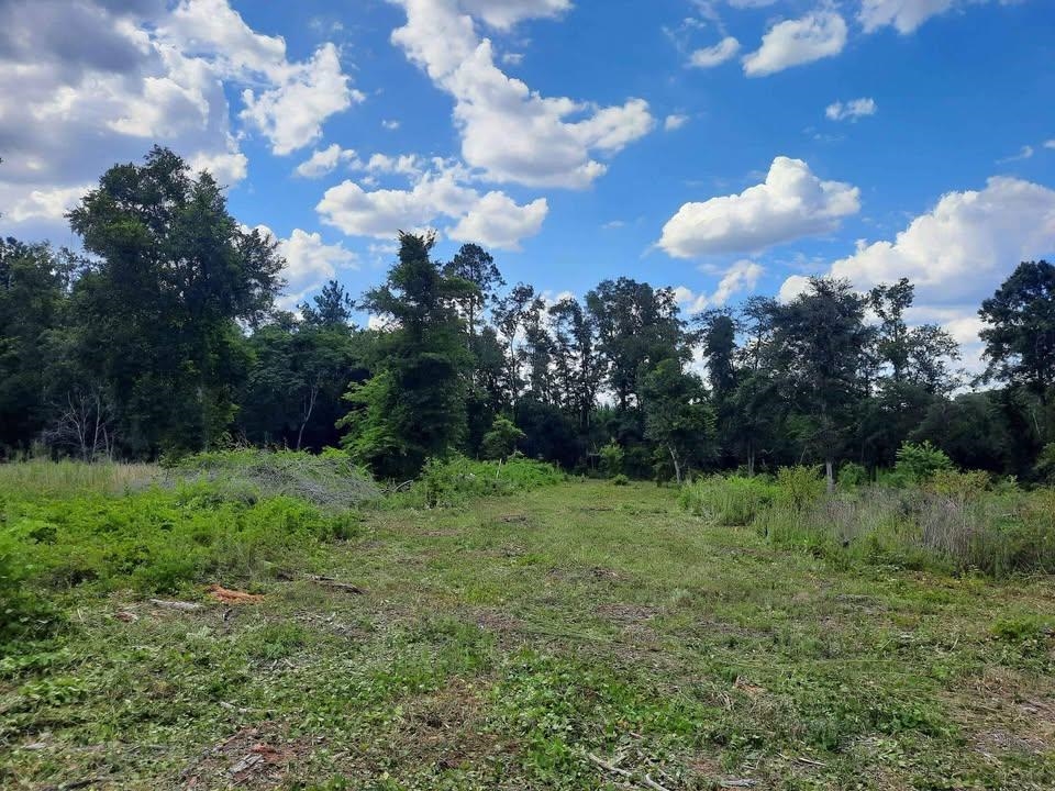 1 West Mdw Road Monticello, FL 32344 - Photo 8 of 11