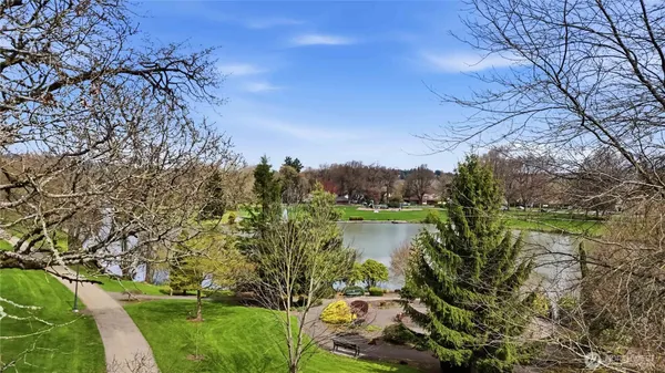 a view of a lake with a mountain in the background