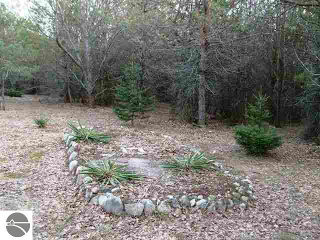 11023 Wheeler Road Southwest Fife Lake, MI 49633 - Photo 6 of 25 1725961-5.JPG