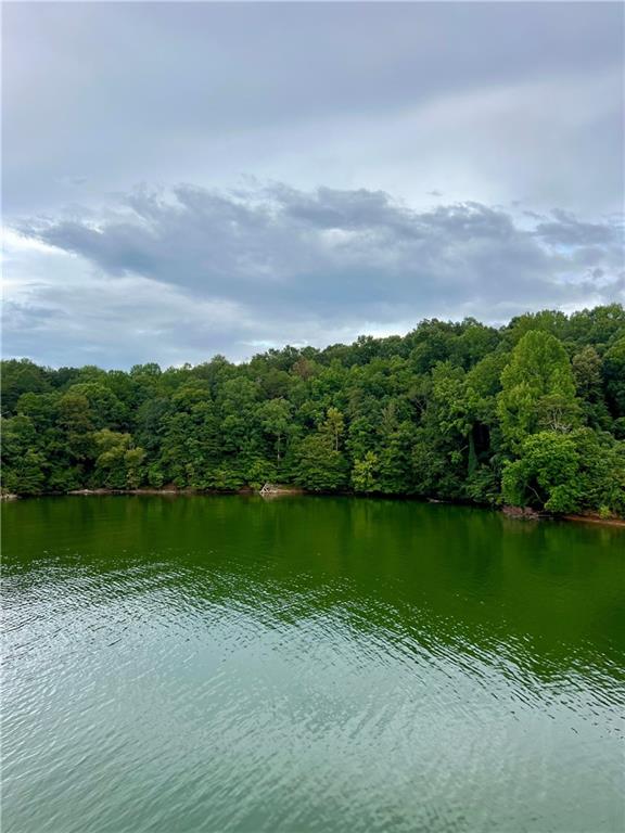 3211 Lakeview Street Gainesville, GA 30506 - Photo 14 of 16 a view of a lake with a big yard
