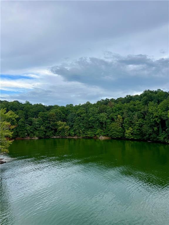 3211 Lakeview Street Gainesville, GA 30506 - Photo 2 of 16 a view of a lake with a big yard