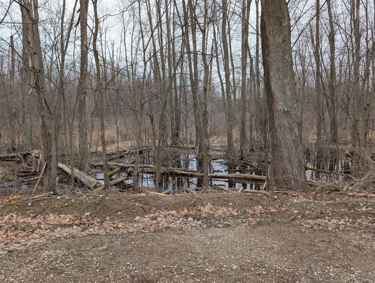 1610 Mull Road Tipton, MI 49287 - Photo 43 of 48