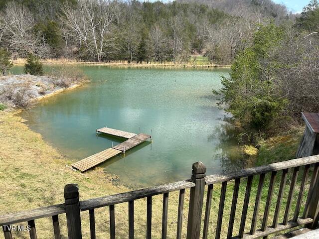 742 Black Sheep Hollow Road Eidson, TN 37731 - Photo 3 of 21 IMG_2804