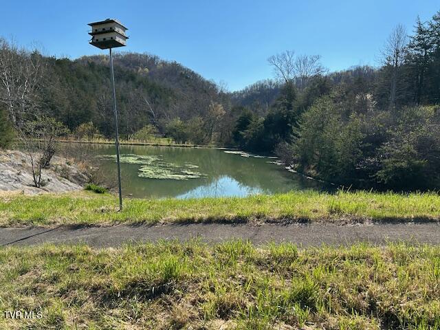742 Black Sheep Hollow Road Eidson, TN 37731 - Photo 4 of 21 IMG_2898