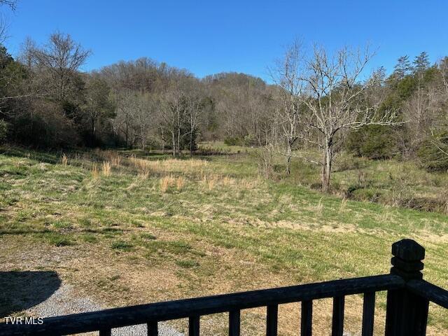 742 Black Sheep Hollow Road Eidson, TN 37731 - Photo 5 of 21 IMG_2885