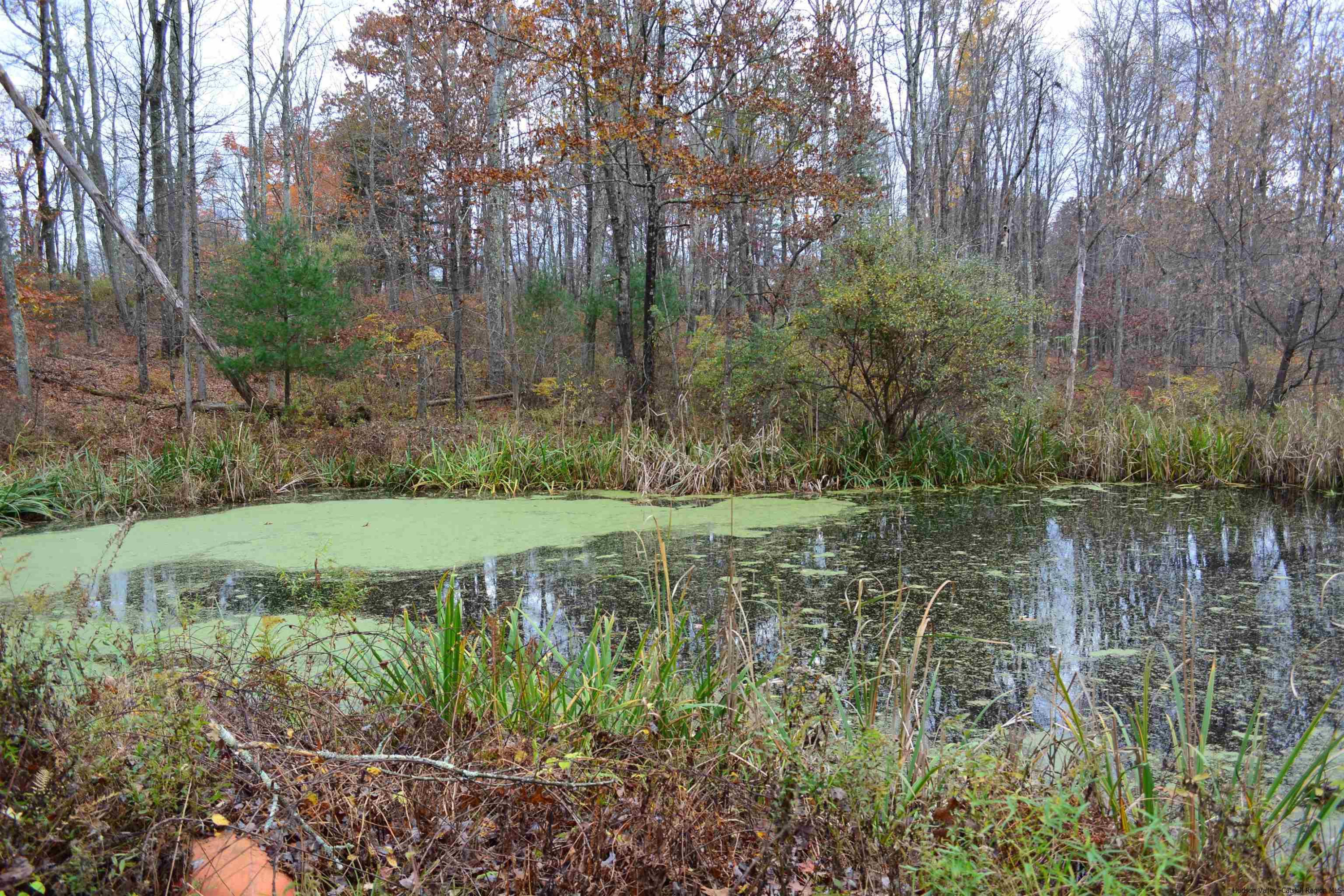 345 Towpath Road Accord, NY 12404 - Photo 12 of 35 a view of a water pond with green yard