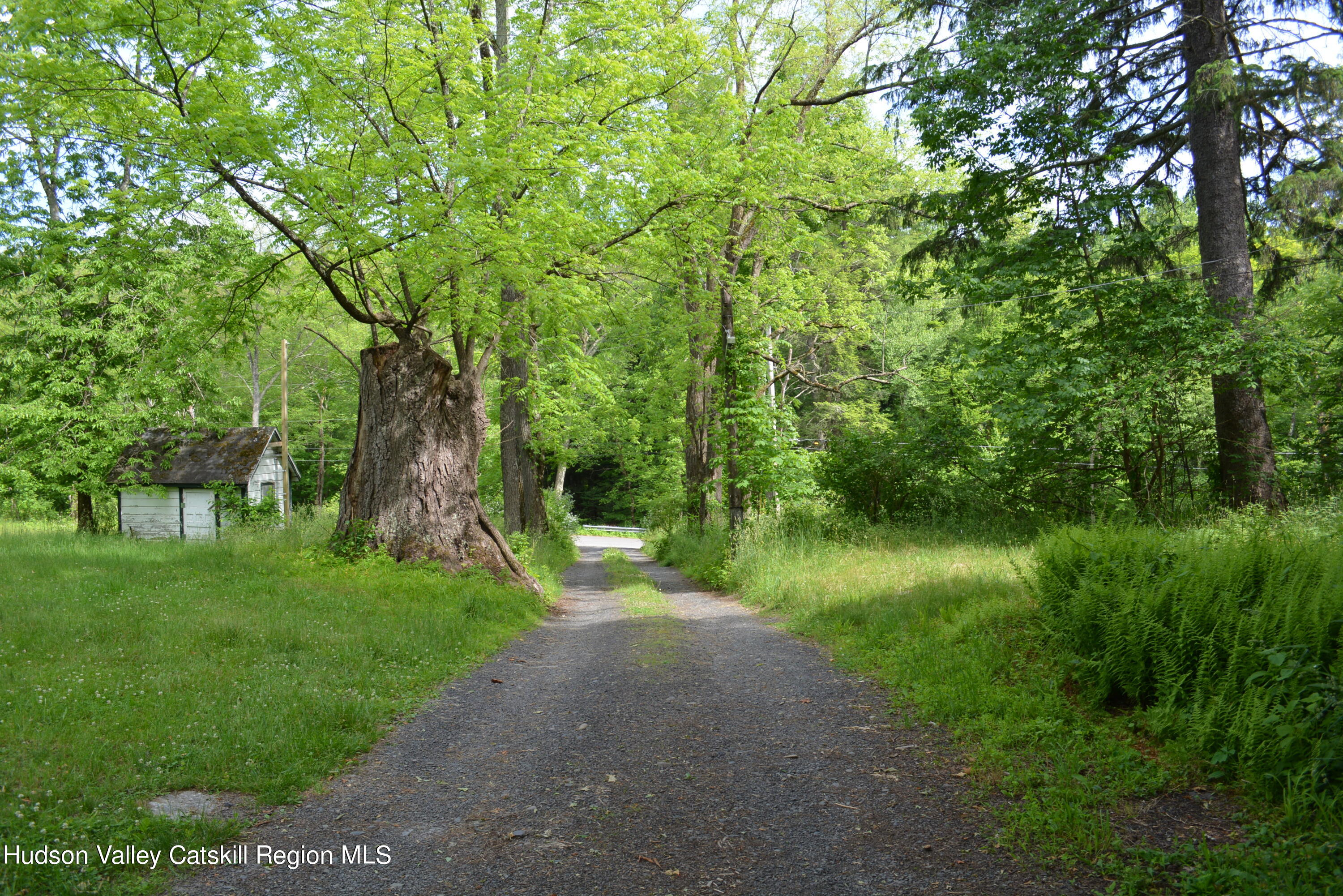 345 Towpath Road Accord, NY 12404 - Photo 35 of 35 a view of a garden with a tree