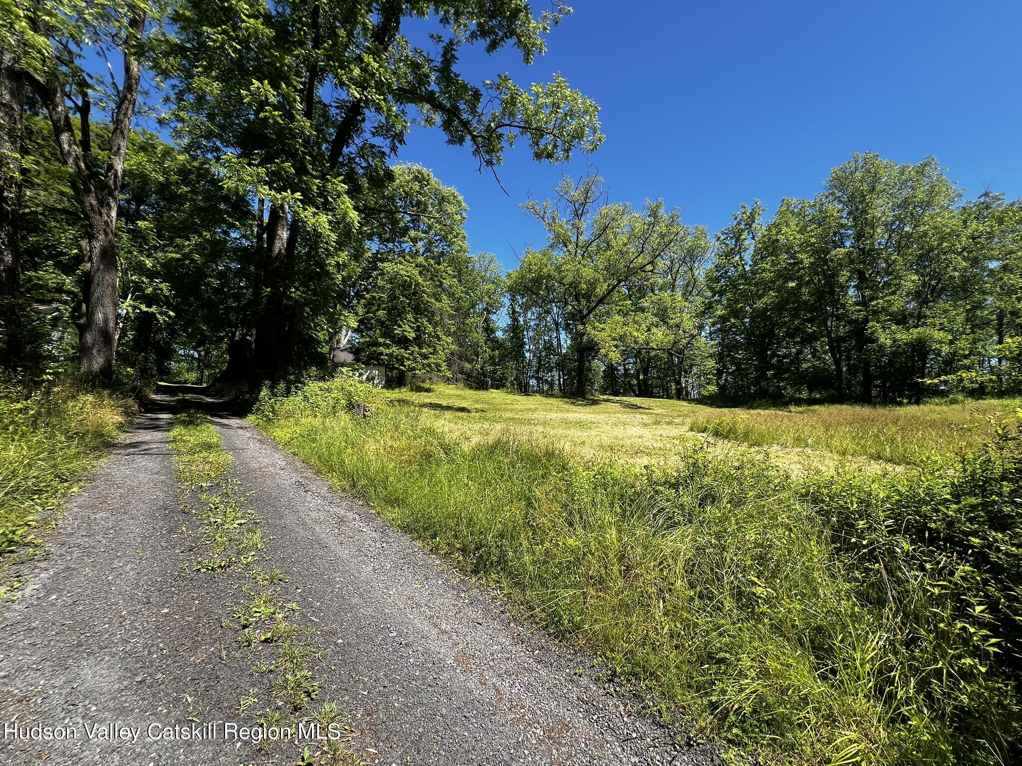 345 Towpath Road Accord, NY 12404 - Photo 4 of 35 a view of a yard with plants