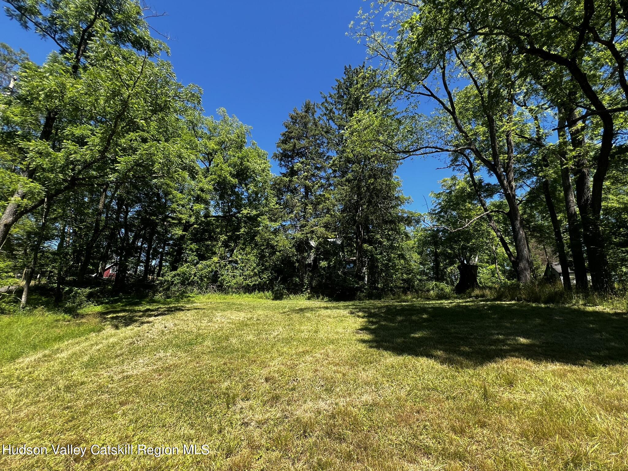 345 Towpath Road Accord, NY 12404 - Photo 5 of 35 a view of swimming pool with a yard