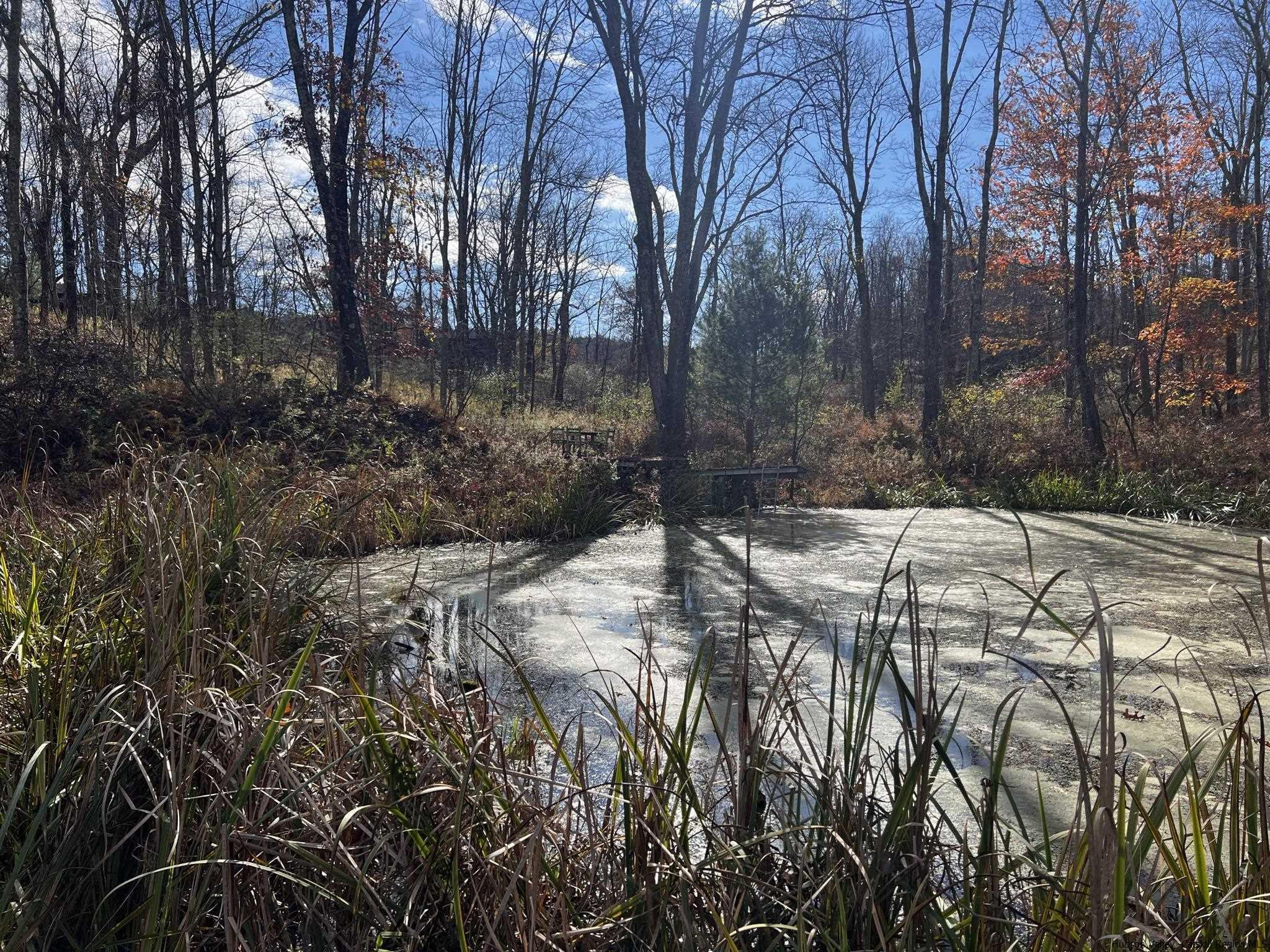 345 Towpath Road Accord, NY 12404 - Photo 6 of 35 a view of outdoor space with a house