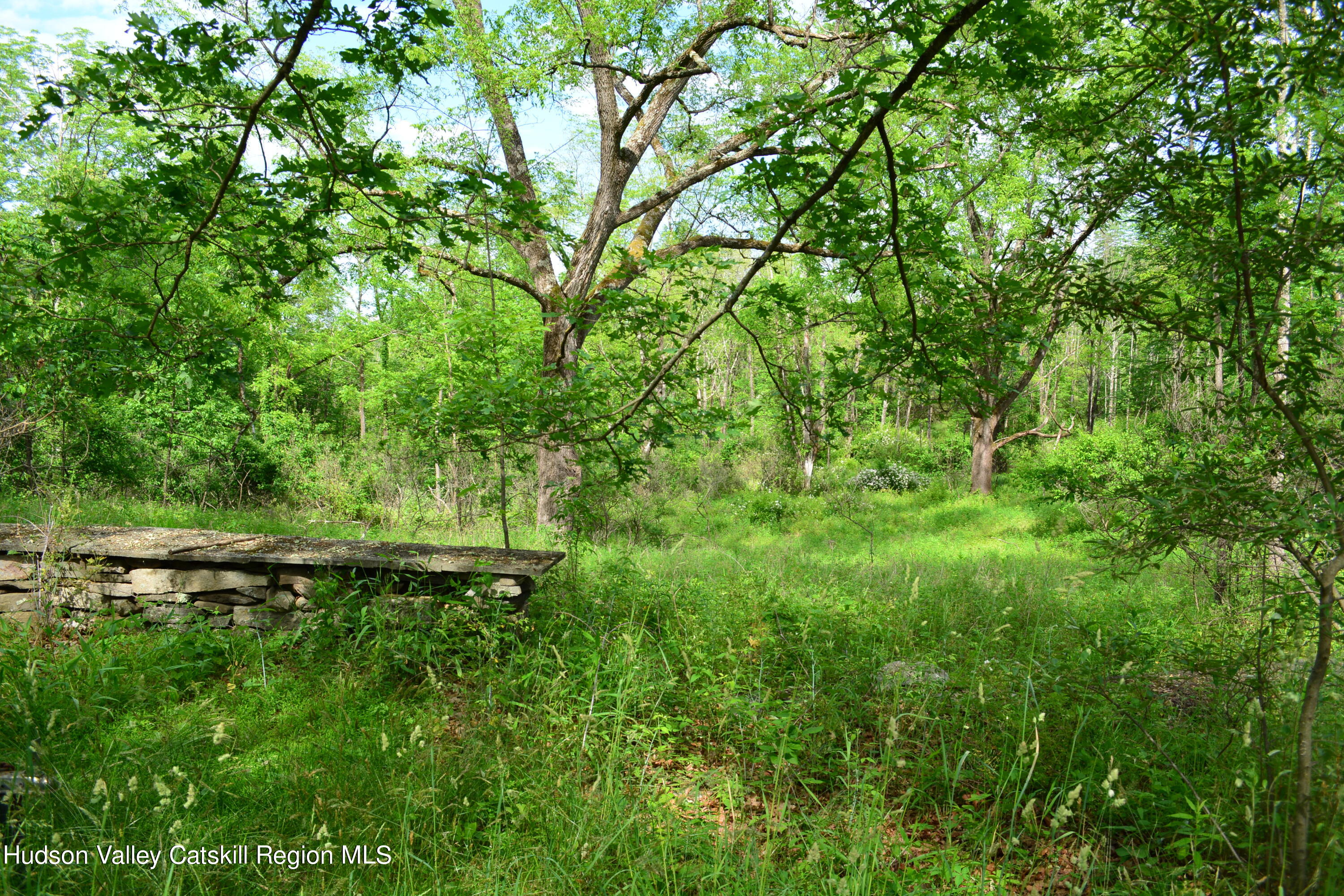345 Towpath Road Accord, NY 12404 - Photo 9 of 35 a view of outdoor space and yard