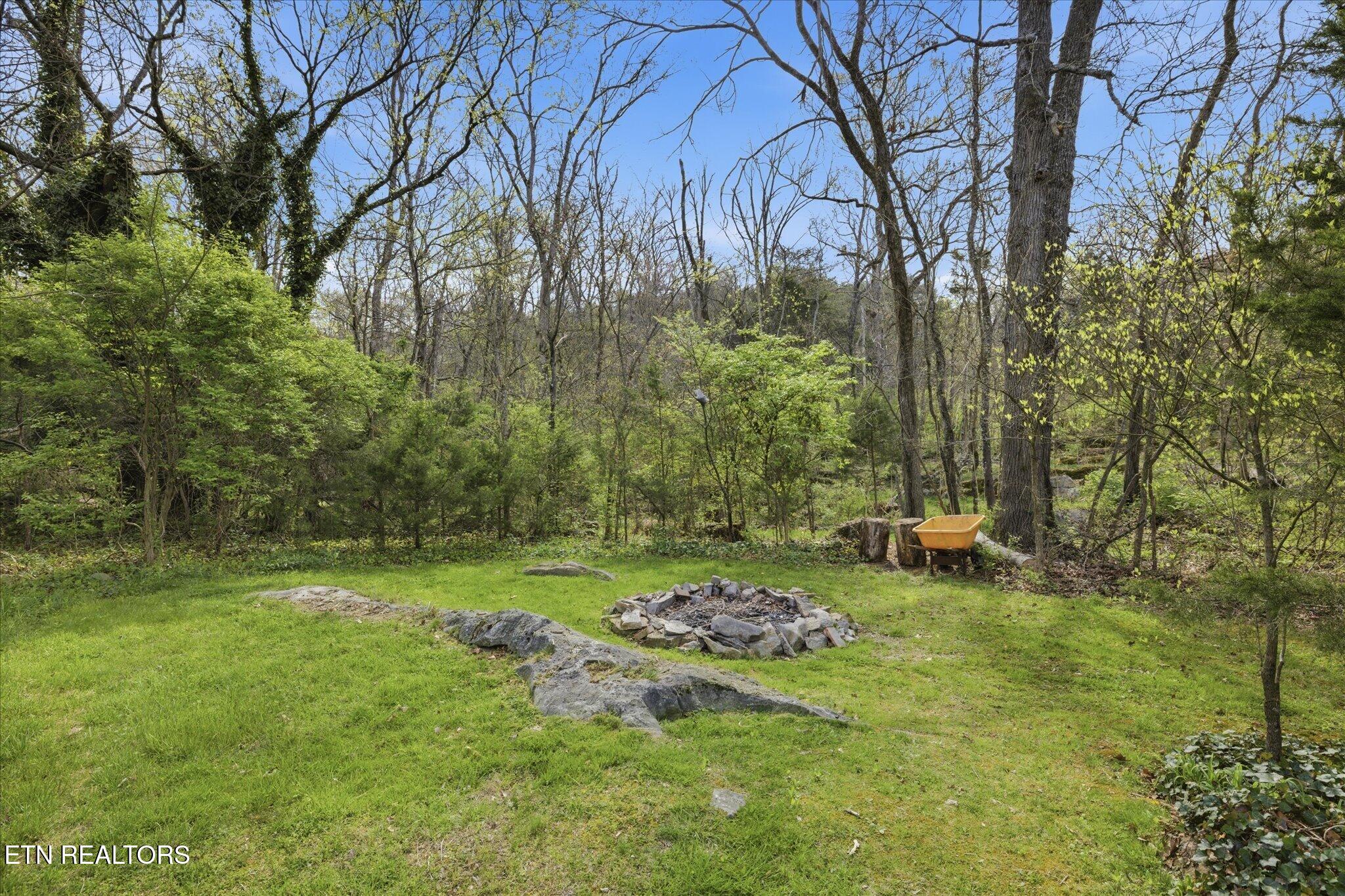 799 Haynes Road, Unit ABC Dandridge, TN 37725 - Photo 5 of 59 06-IMG_0017