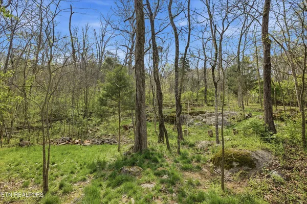 $549,000 | 799 Haynes Road, Unit ABC, Dandridge, TN 37725