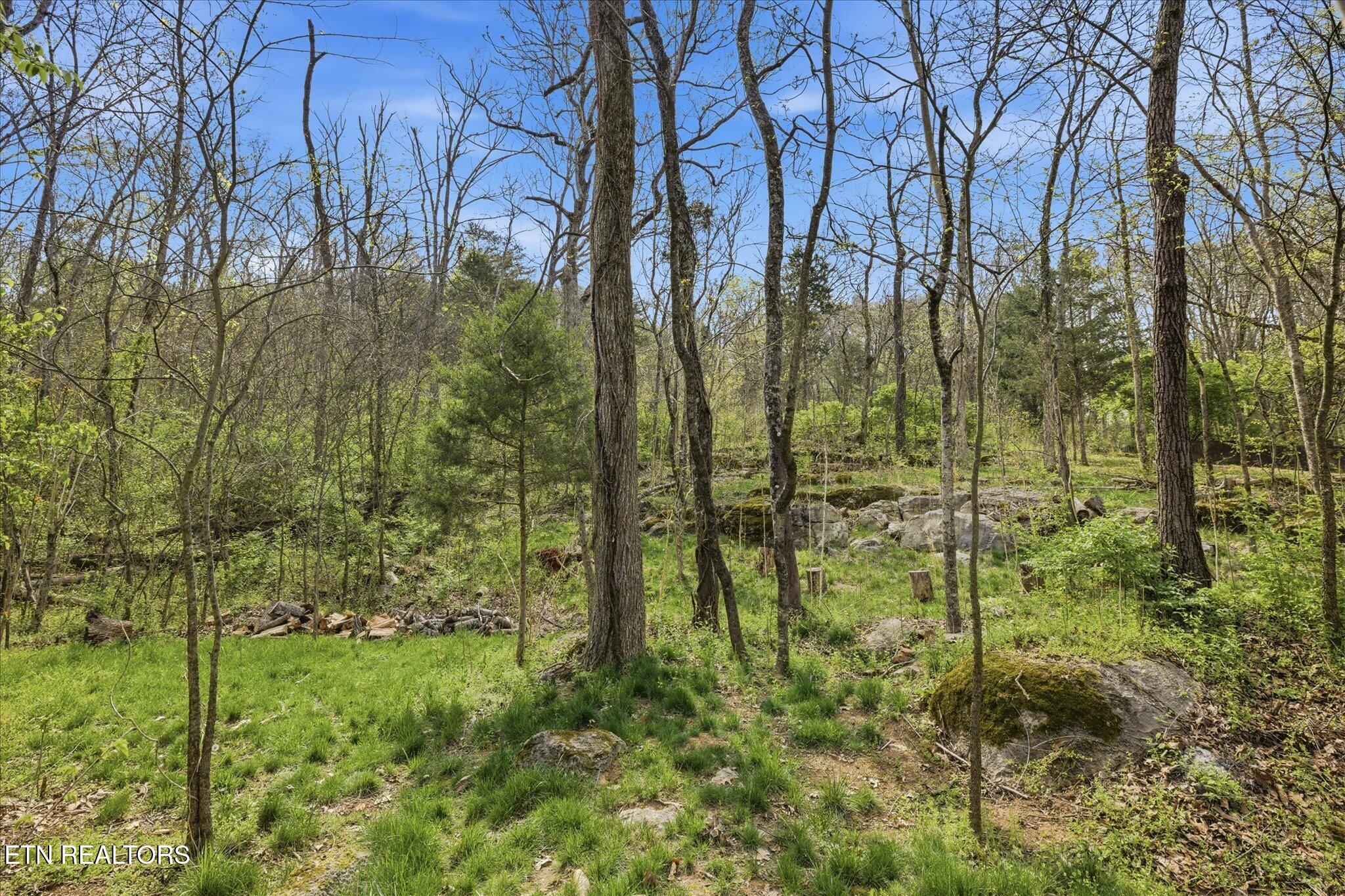 799 Haynes Road, Unit ABC Dandridge, TN 37725 - Photo 6 of 59 07-IMG_0020