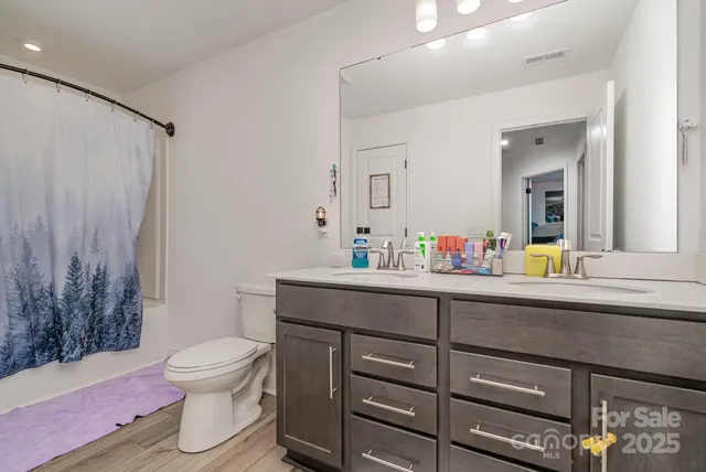 a bathroom with a sink mirror vanity and toilet