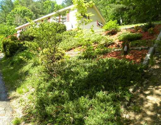 160 Sedgley Road Greene, ME 04236 - Photo 8 of 15 Yard/Garden.