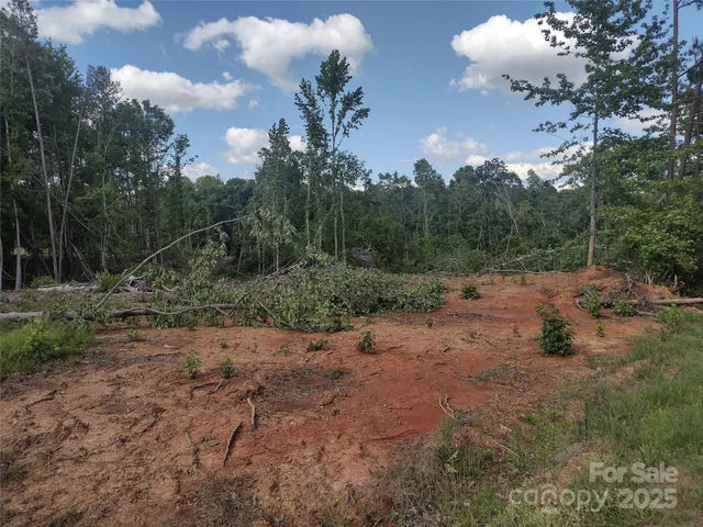 a view of a dry yard with trees