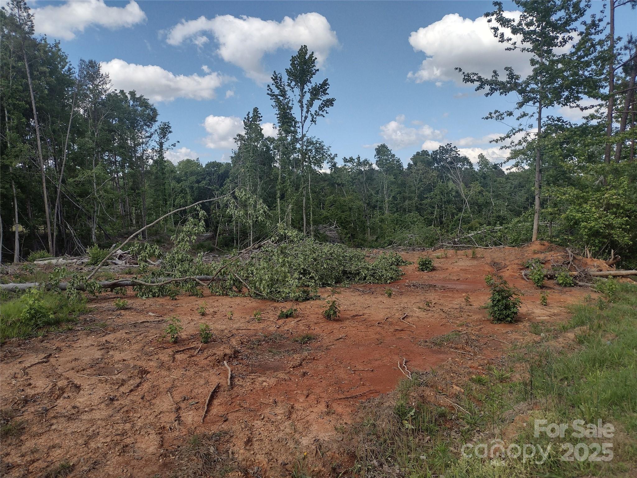 a view of a dry yard with trees