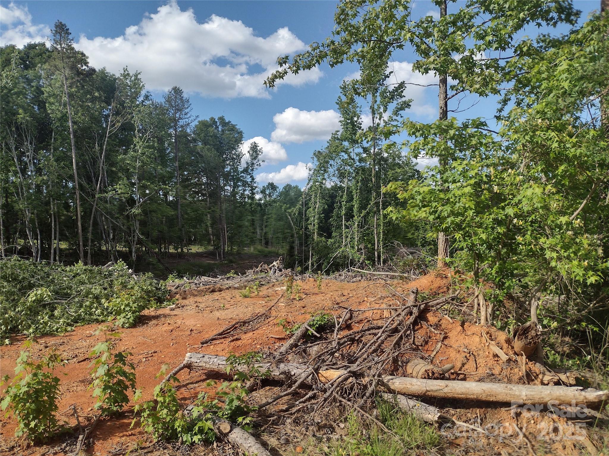 1816 Trinity Church Road Monroe, NC 28112 - Photo 2 of 5 a backyard of a house with lots of green space