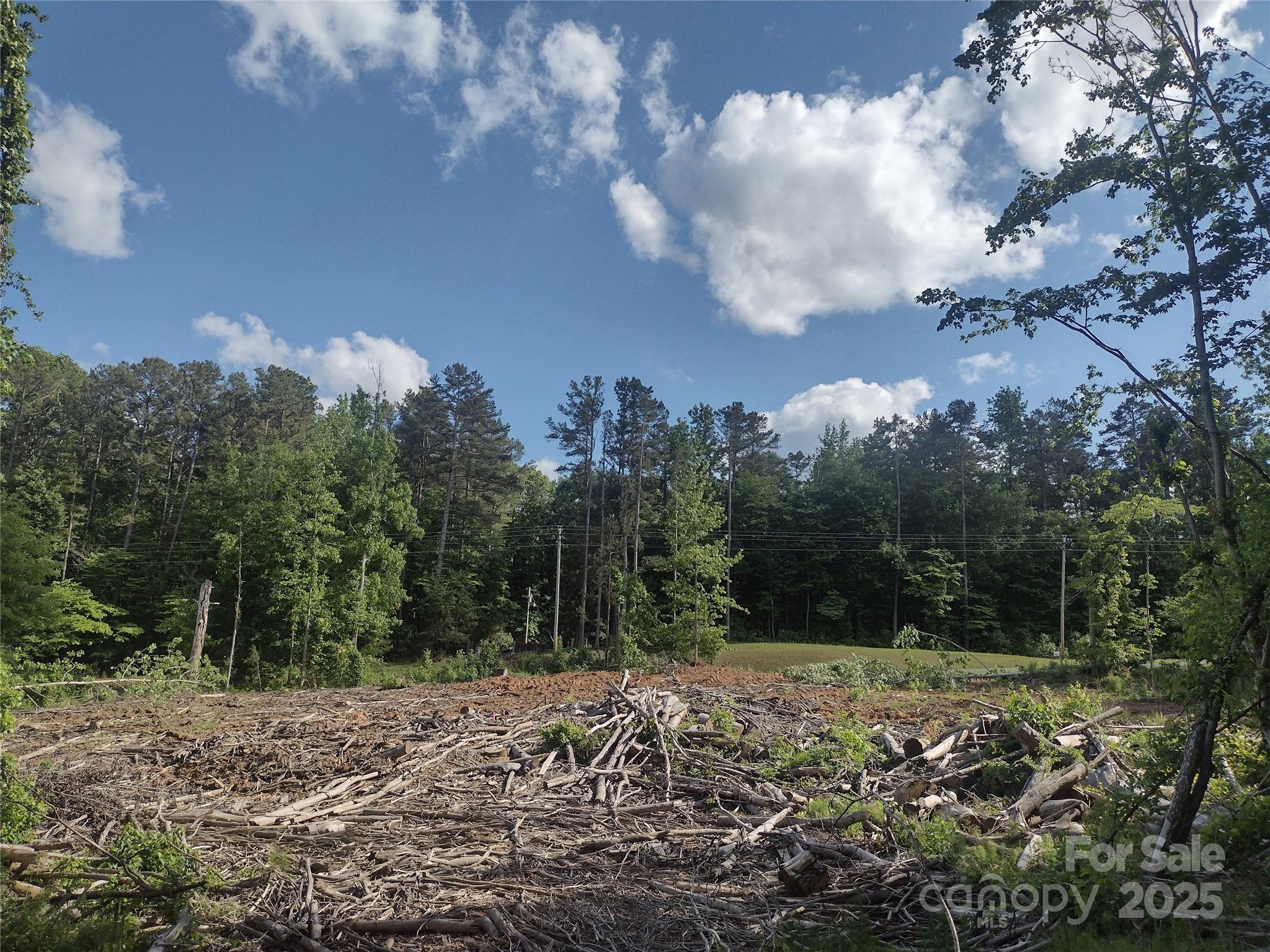 1816 Trinity Church Road Monroe, NC 28112 - Photo 3 of 5 a view of a yard with large trees